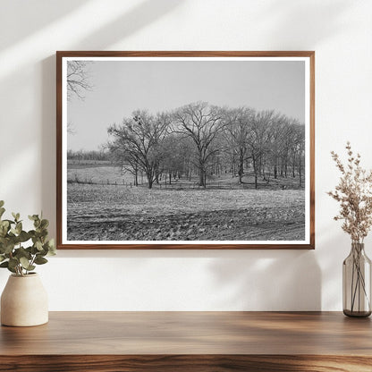 McIntosh County Oklahoma Landscape February 1940 Photo