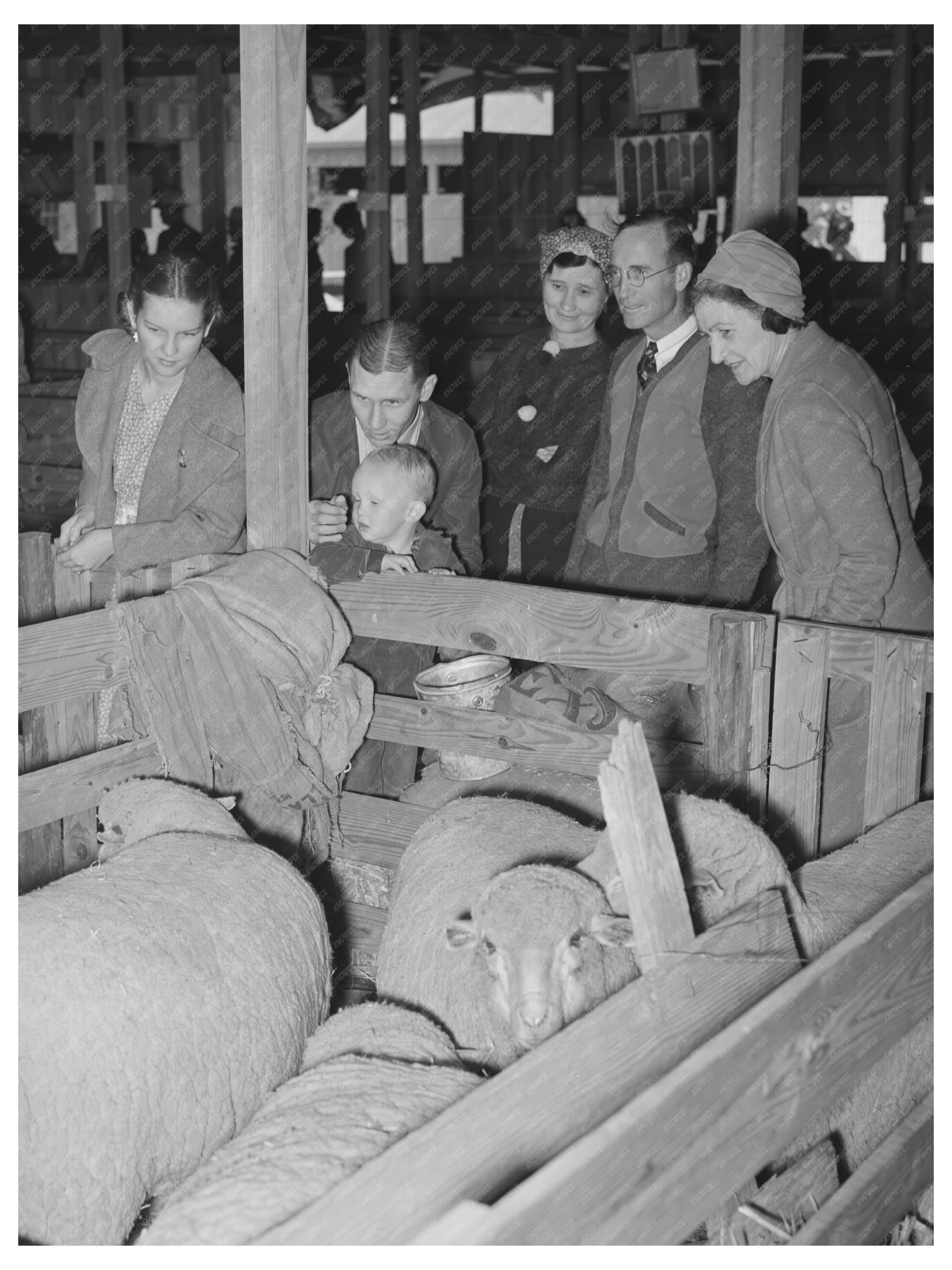 San Angelo Fat Stock Show Sheep Exhibit March 1940