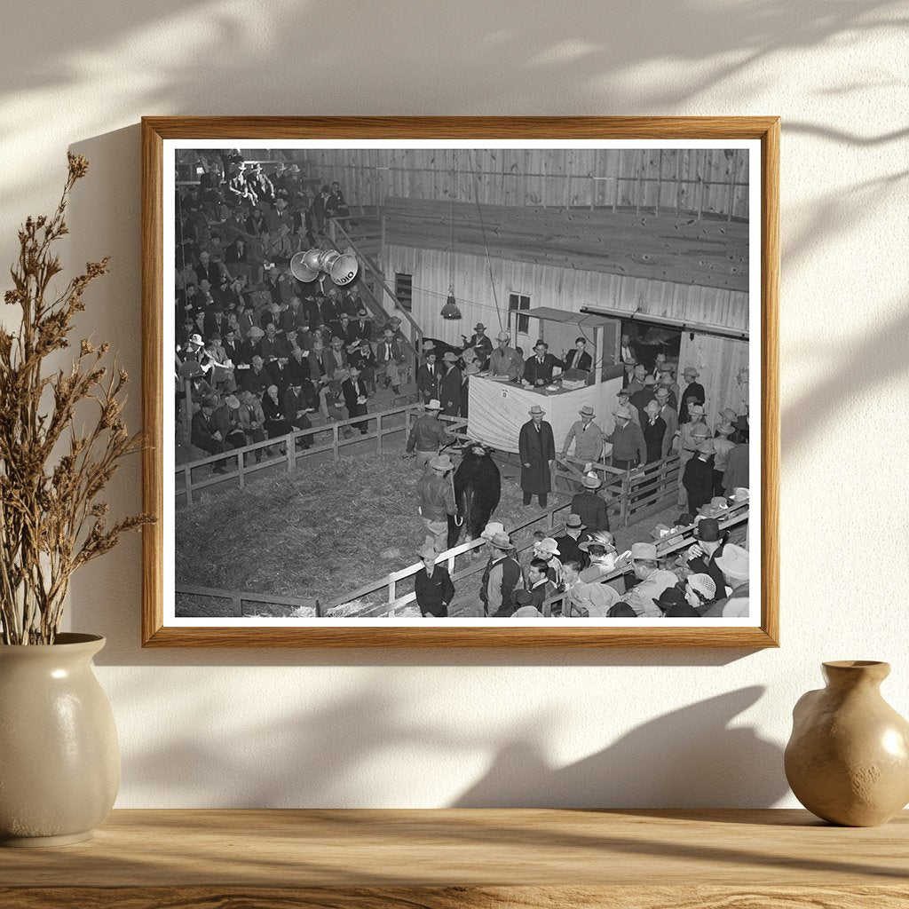 1940 San Angelo Fat Stock Show Beef Steer Auction Image