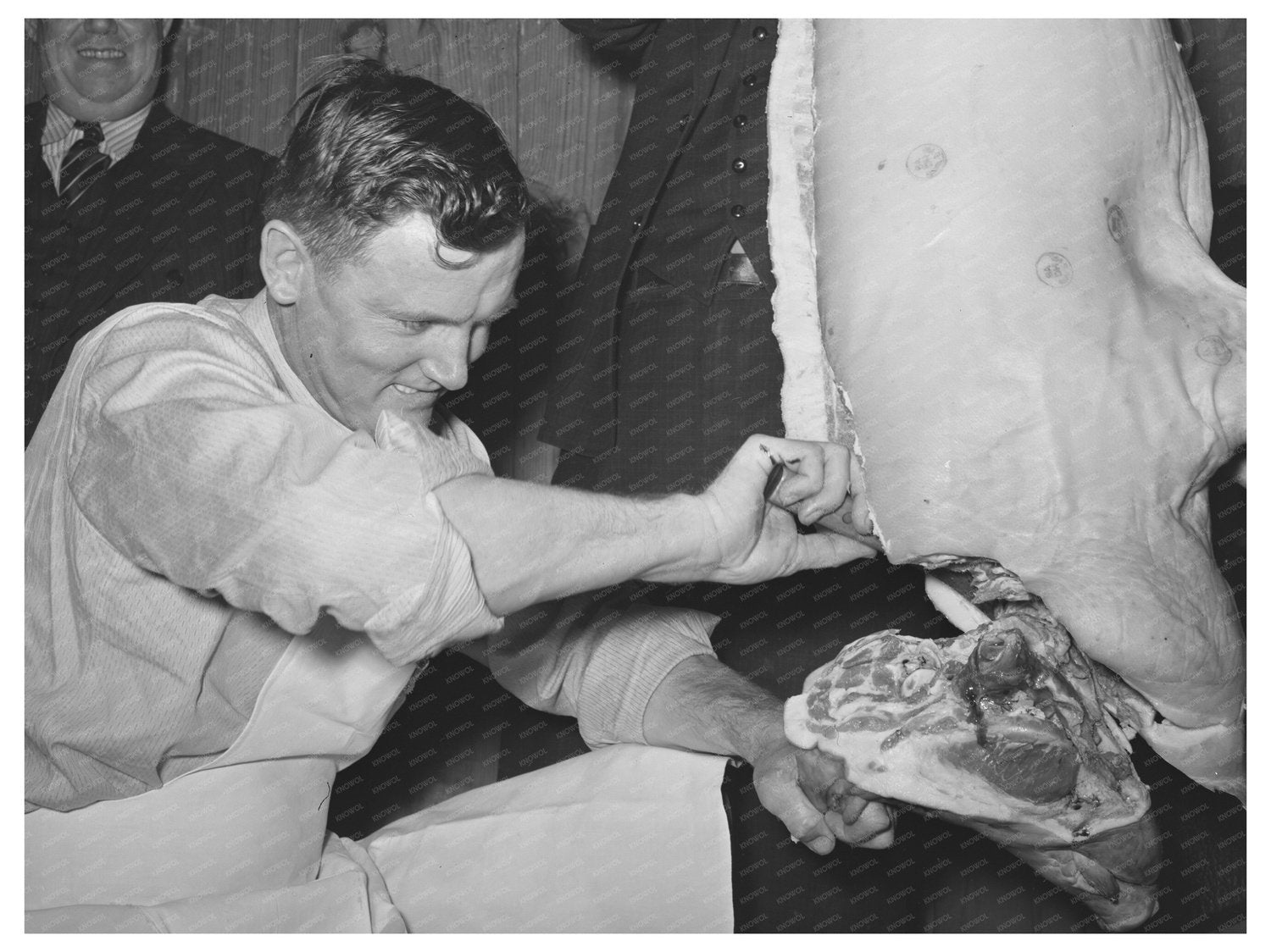 Farm Security Administration Meat Cutting Demonstration 1940
