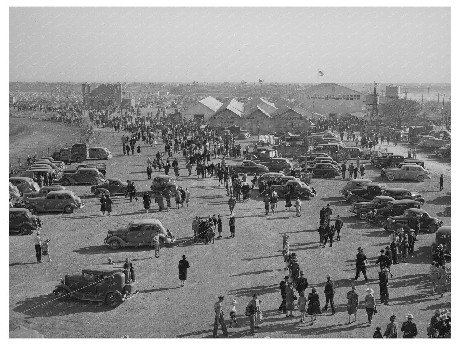 San Angelo Fat Stock Show March 1940 Livestock Event