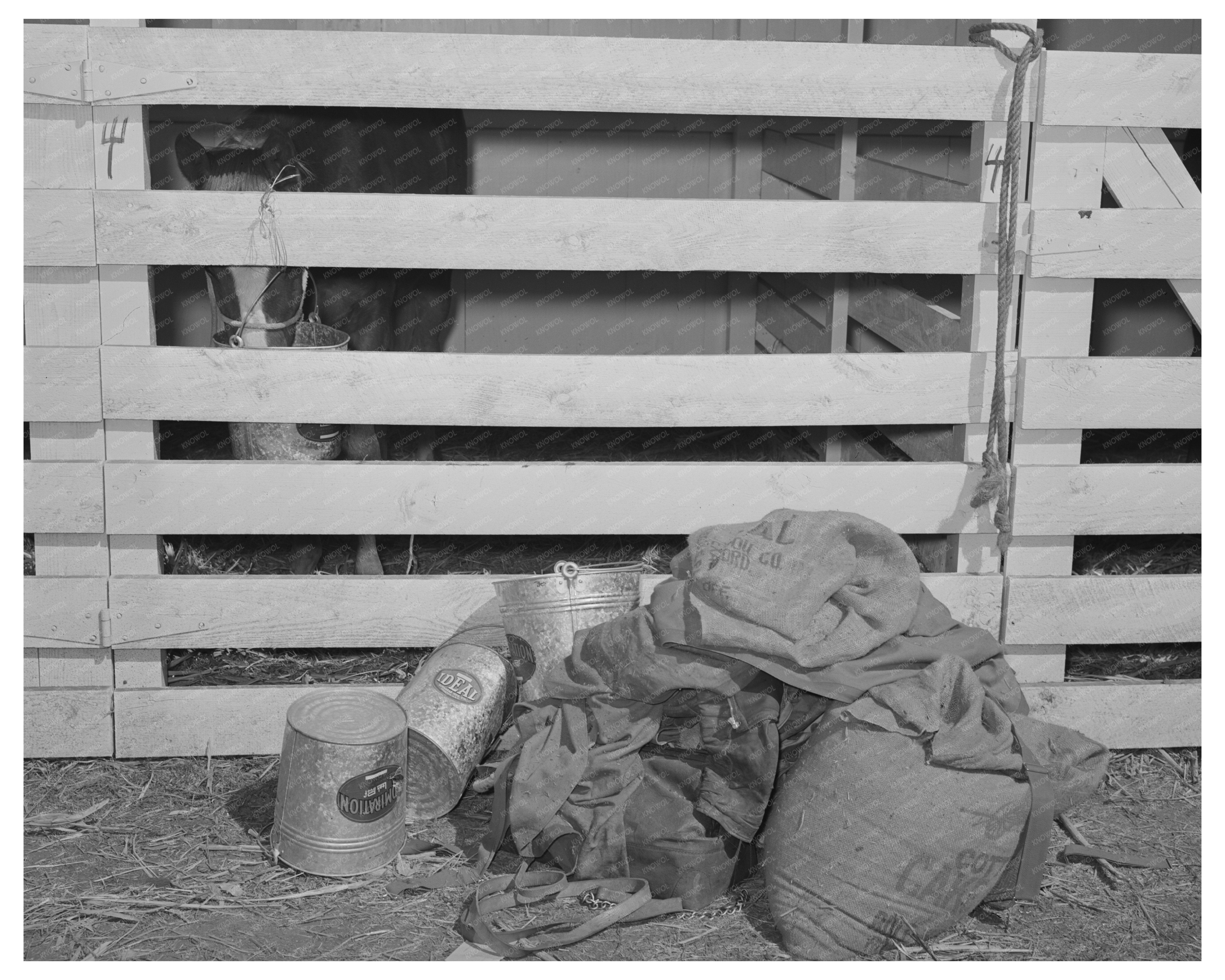 San Angelo Fat Stock Show Feed and Water Buckets 1940