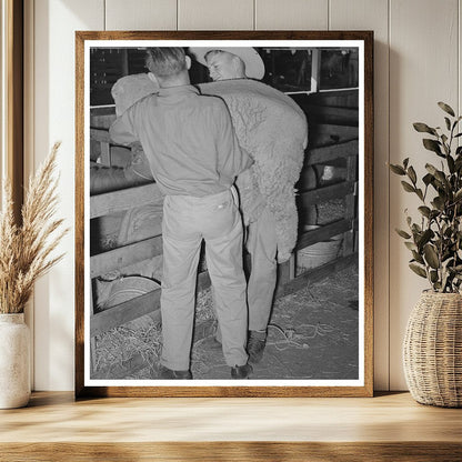 4-H Club Boys Herding Sheep San Angelo Fat Stock Show 1940