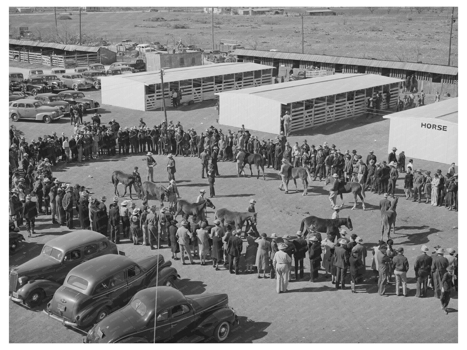 San Angelo Fat Stock Show Polo Pony Judging March 1940
