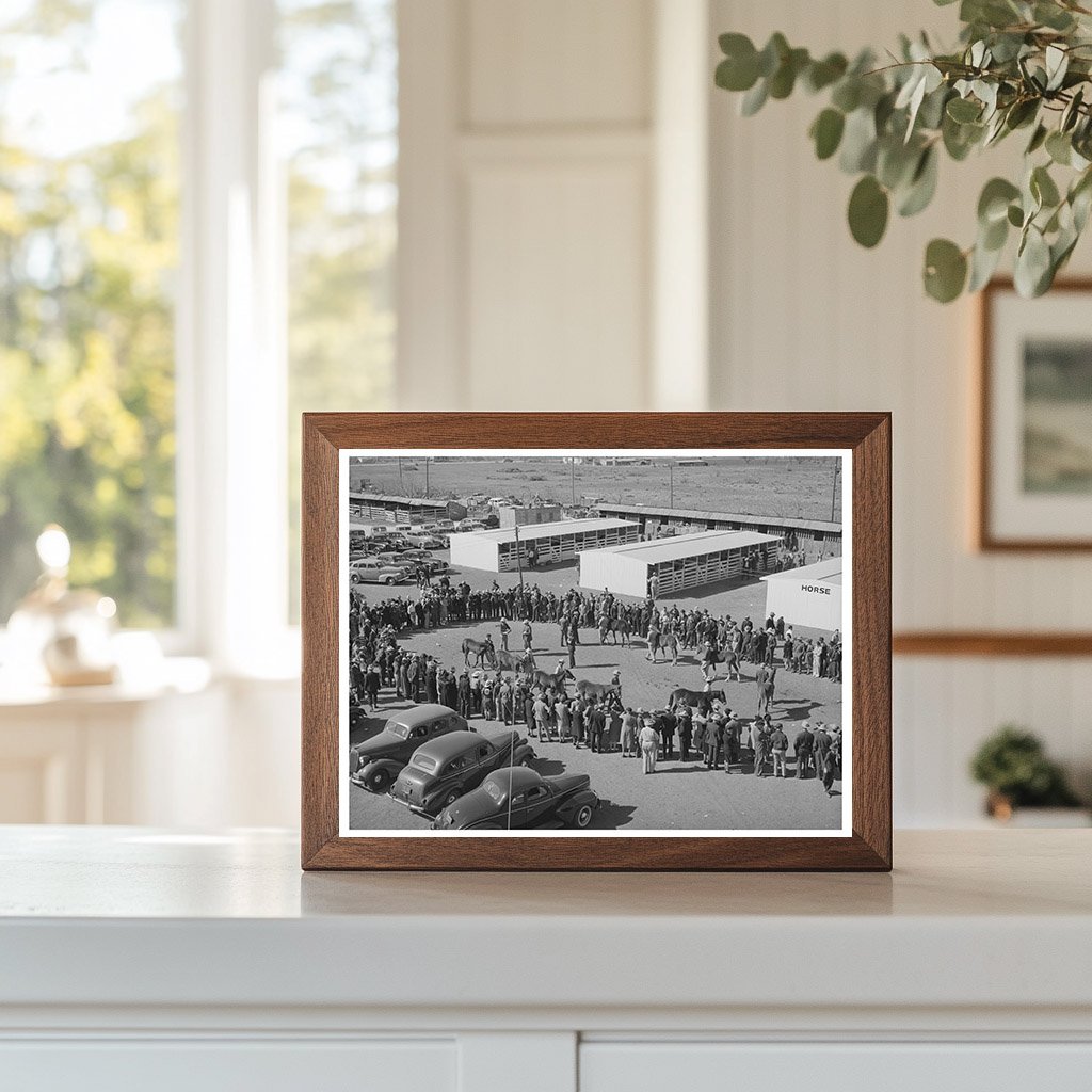 San Angelo Fat Stock Show Polo Pony Judging March 1940
