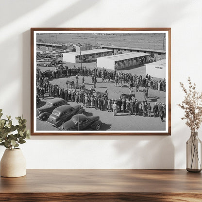 San Angelo Fat Stock Show Polo Pony Judging March 1940
