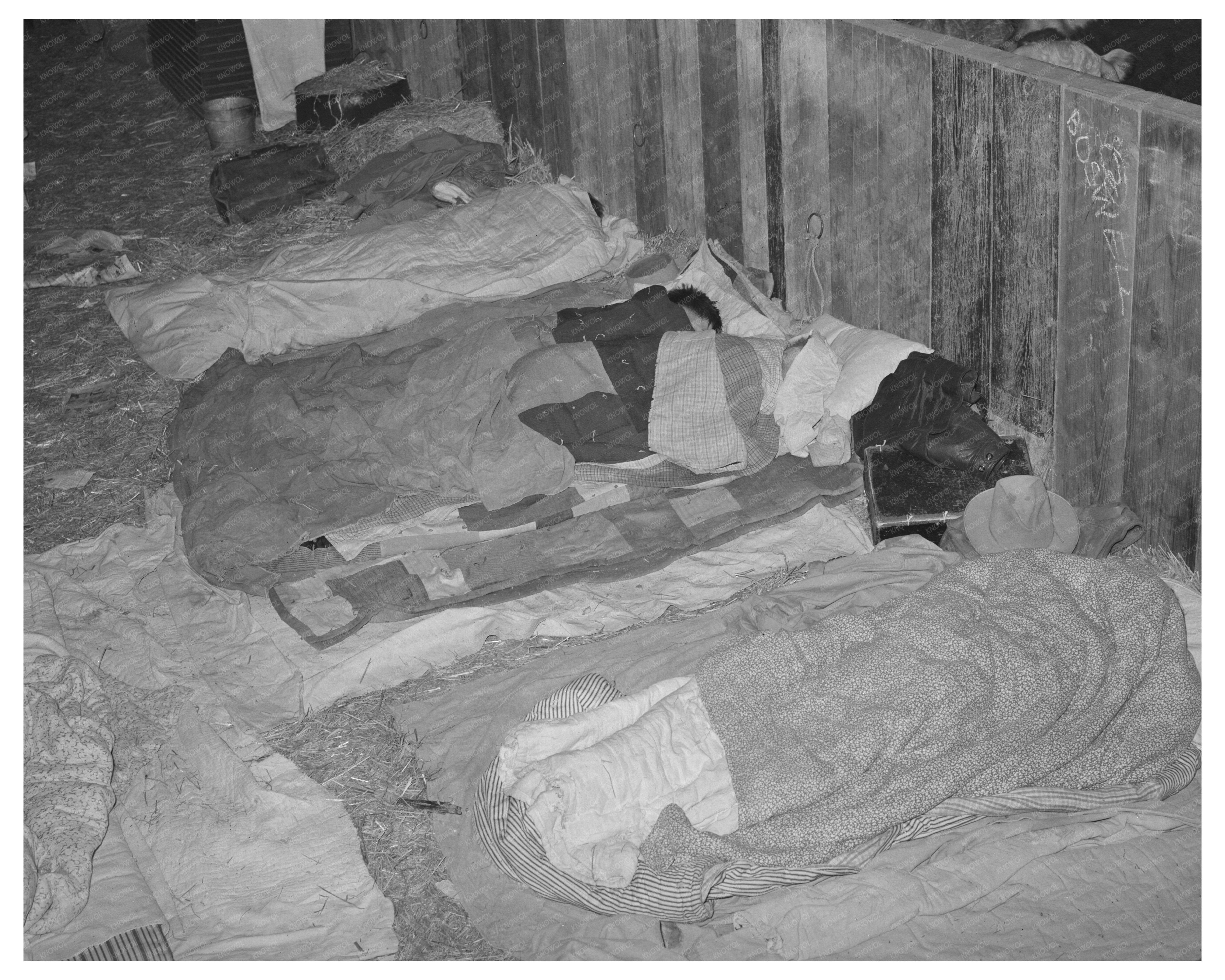 Cowboys Relax at San Angelo Fat Stock Show March 1940