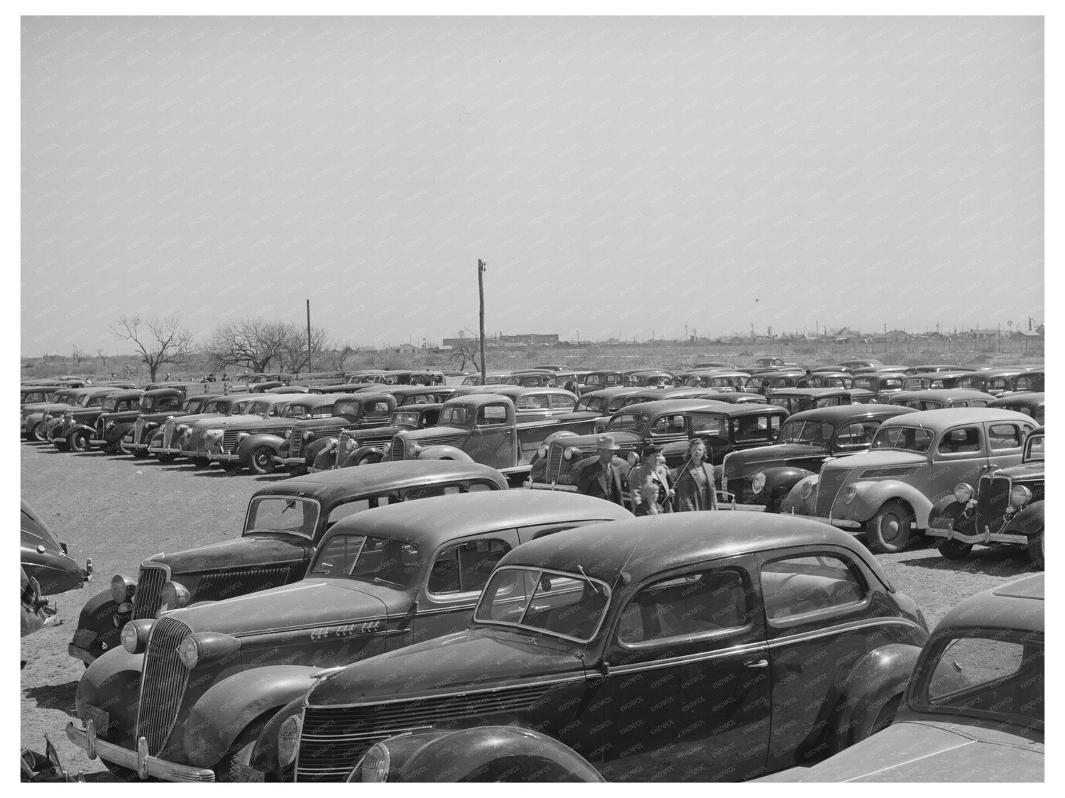 San Angelo Fat Stock Show Cars March 1940