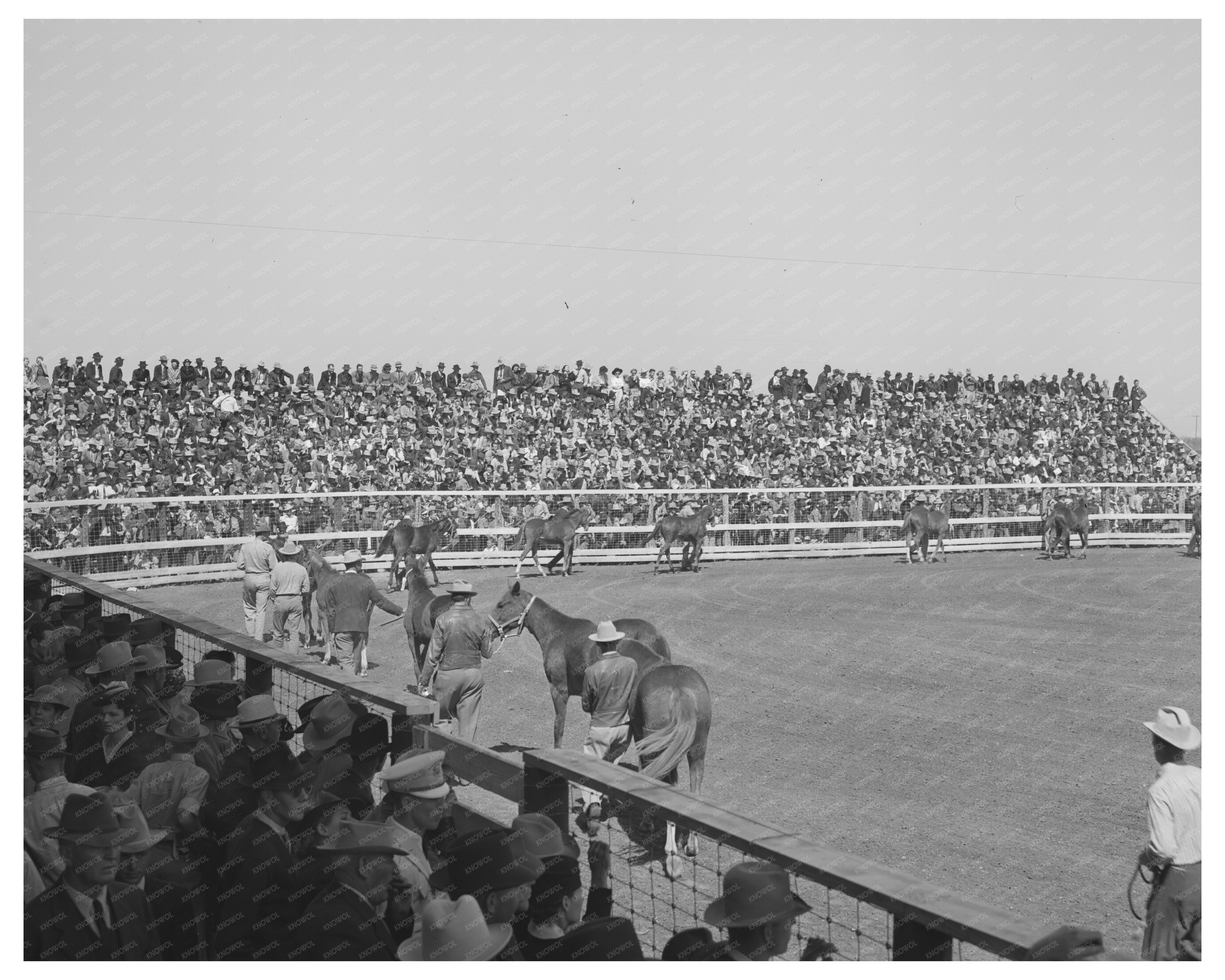 Horses Parade at San Angelo Show March 1940