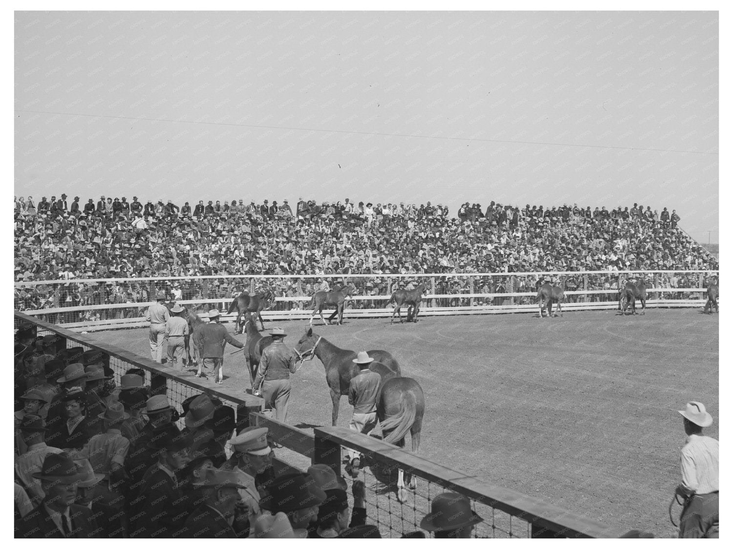 1940 San Angelo Horse Parade Ribbons Equestrian Culture