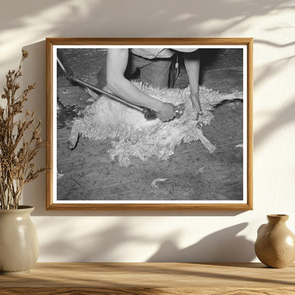 Shearing a Goat in Kimble County Texas March 1940