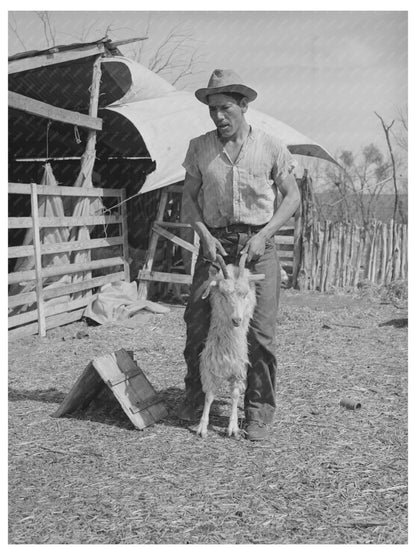 Vintage Shearer with Goat in Kimble County Texas 1940