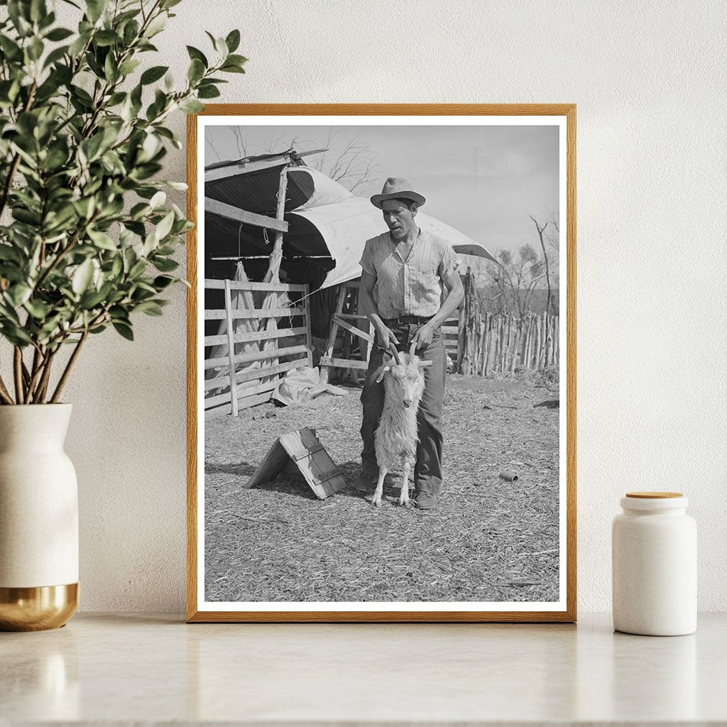 Vintage Shearer with Goat in Kimble County Texas 1940