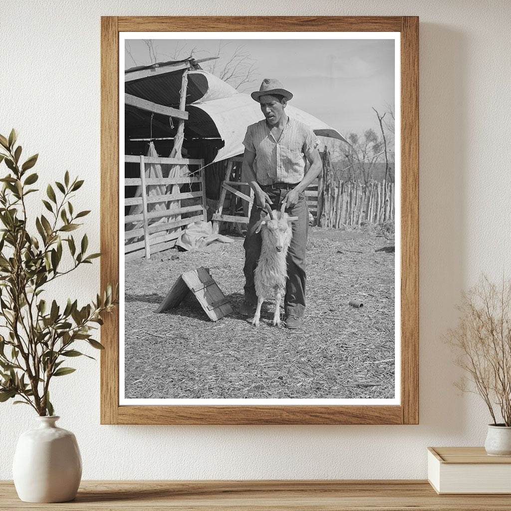 Vintage Shearer with Goat in Kimble County Texas 1940