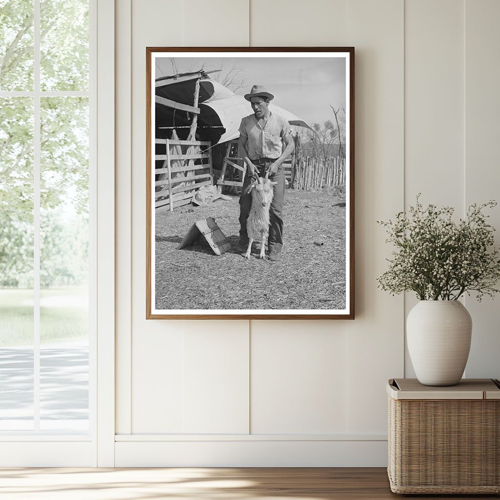 Vintage Shearer with Goat in Kimble County Texas 1940