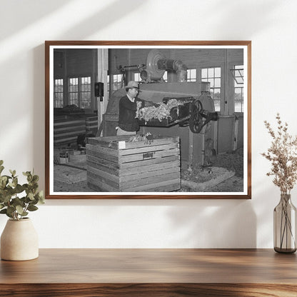 Wool Scouring Plant Worker in San Marcos Texas 1940