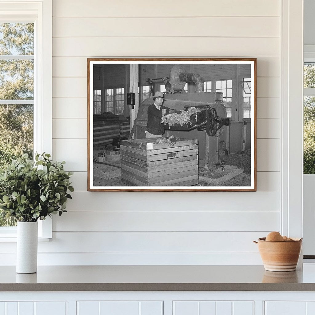 Wool Scouring Plant Worker in San Marcos Texas 1940