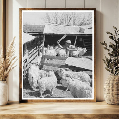 1940 Black and White Ranch Worker Guiding Goats in Texas