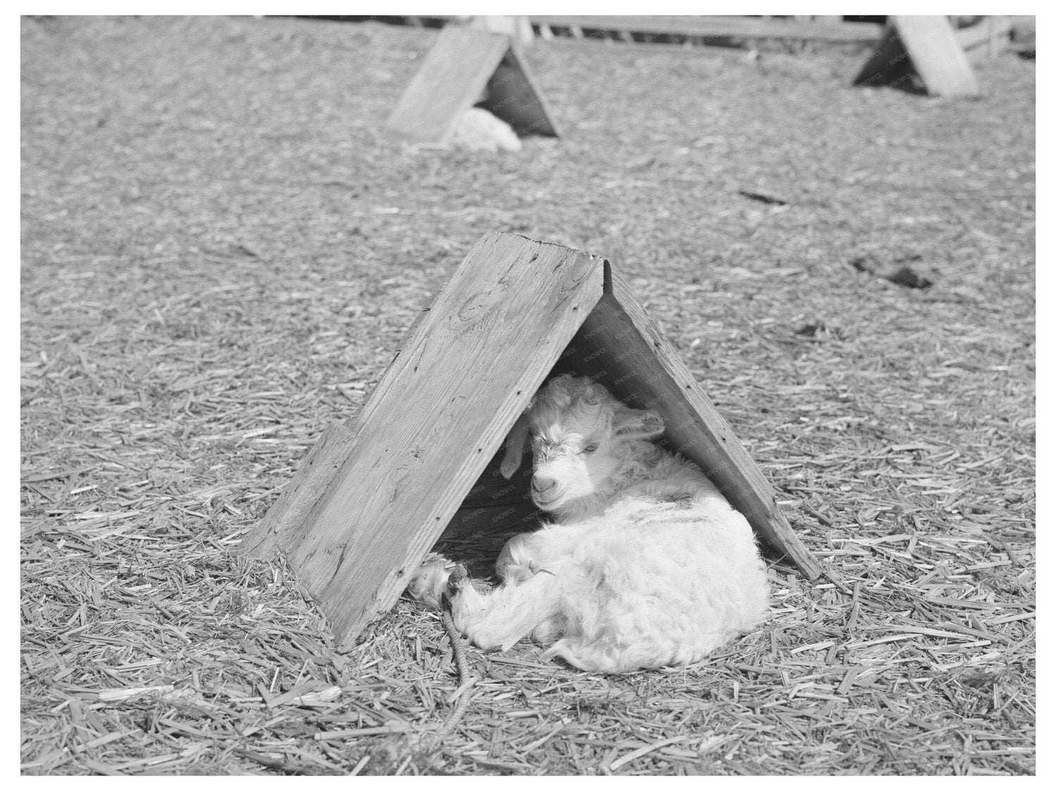 Child in Weather Shelter Kimble County Texas March 1940