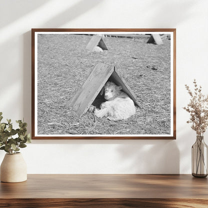 Child in Weather Shelter Kimble County Texas March 1940