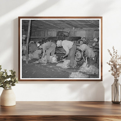 Men Shearing Goats in Kimble County Texas 1940