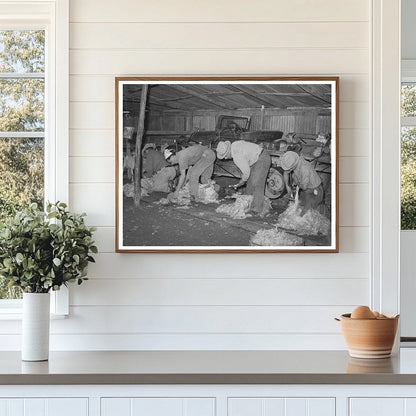 Men Shearing Goats in Kimble County Texas 1940