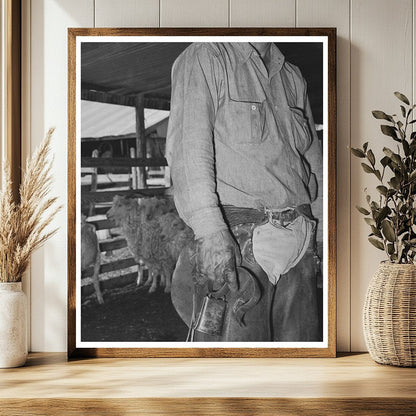 Ranchman Assisting with Kidding and Shearing Texas 1940