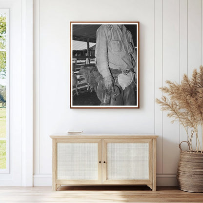 Ranchman Assisting with Kidding and Shearing Texas 1940