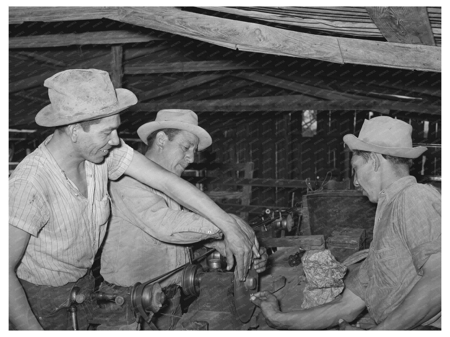 Sheep and Goat Shearers Sharpening Blades Texas 1944