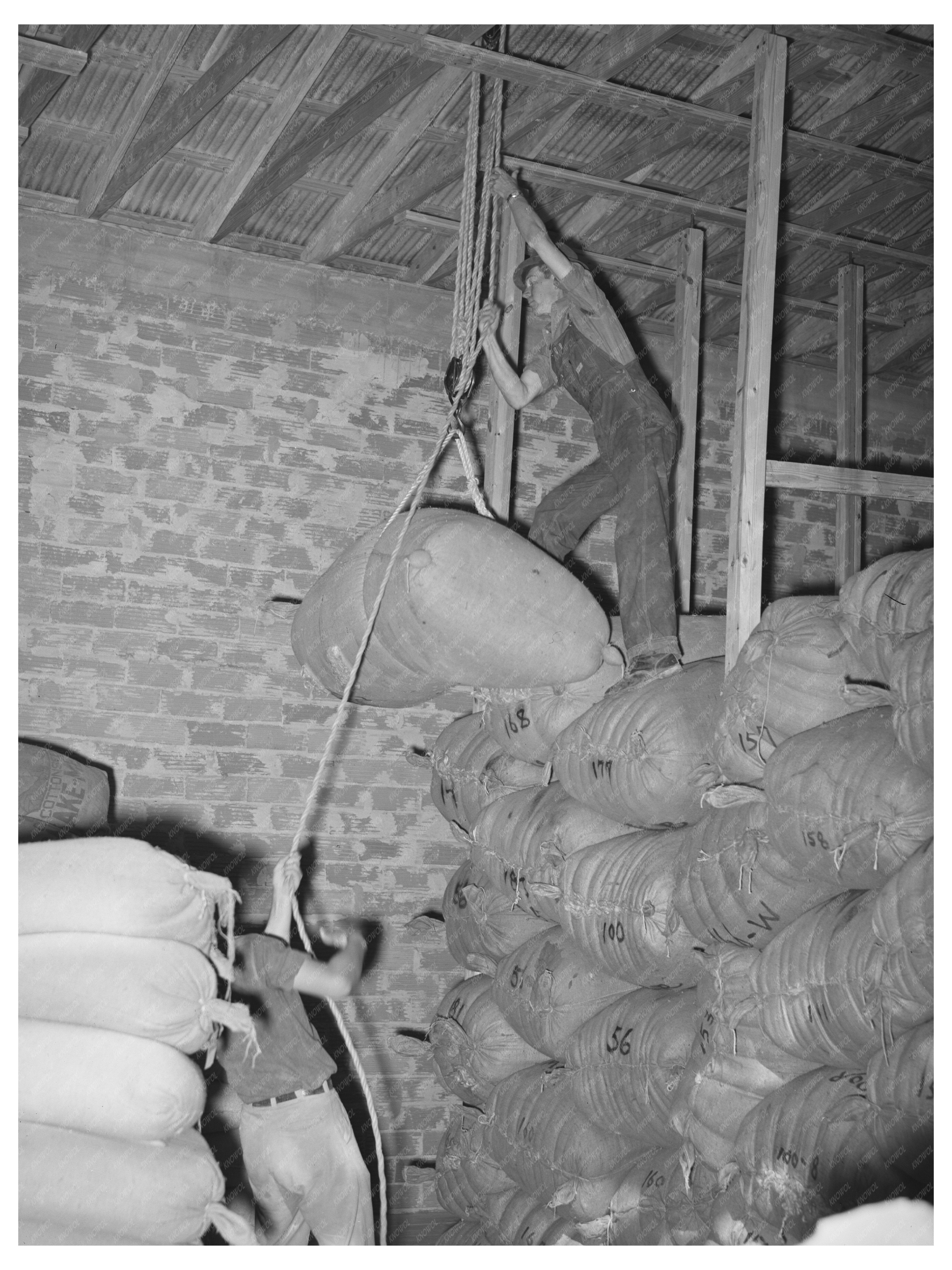 Mohair Storage Process at Kimble County Warehouse 1940