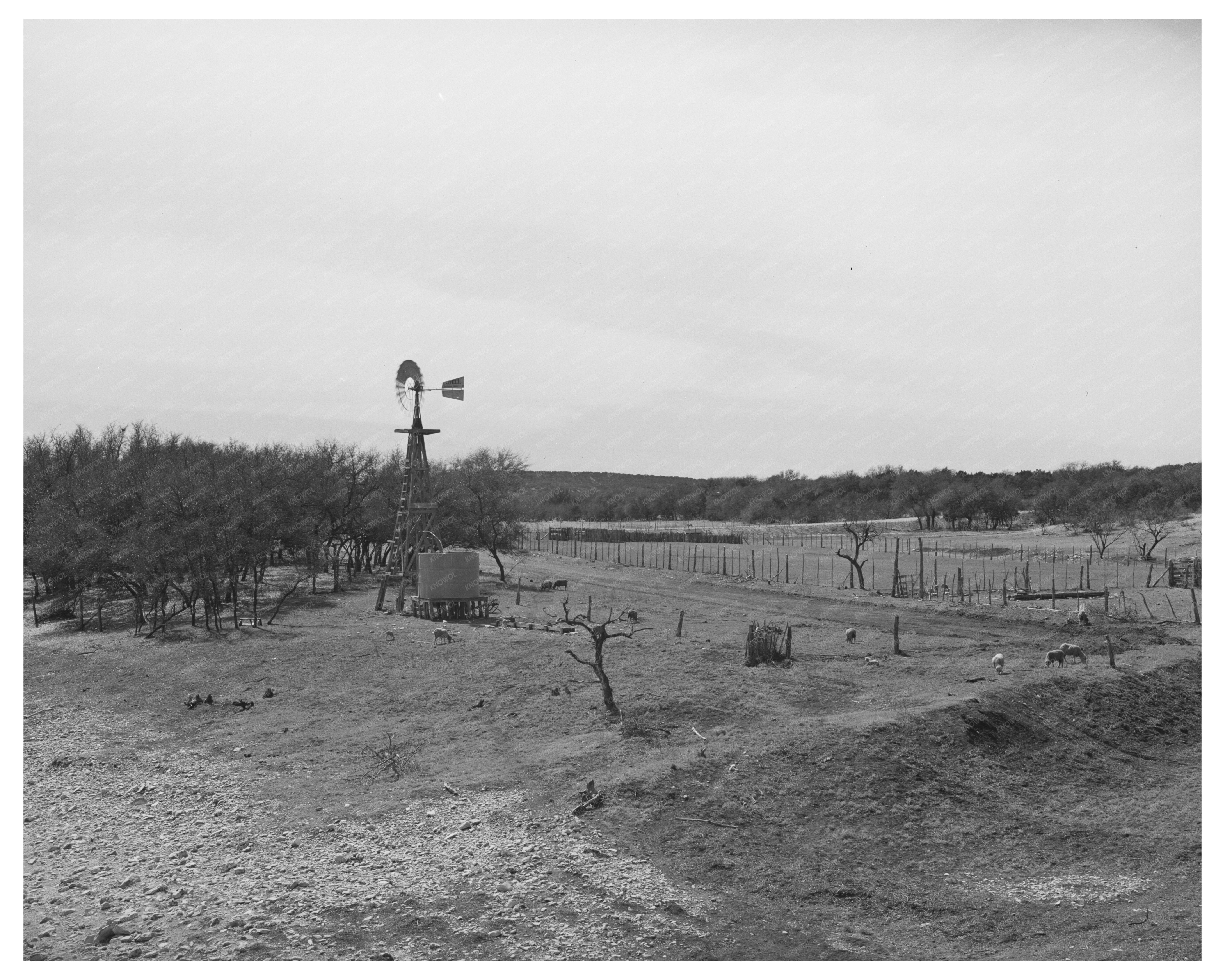 1940 Vintage Water Tank and Windmill in Texas Ranch