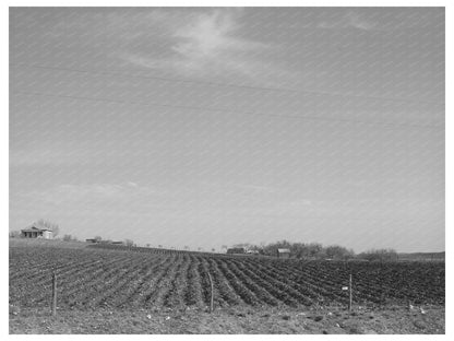 Plowed Farm Land in Bexar County Texas March 1940