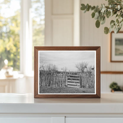 Cedar Post Fence in Kimble County Texas 1940