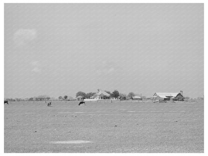 Farmstead in Refugio County Texas March 1940