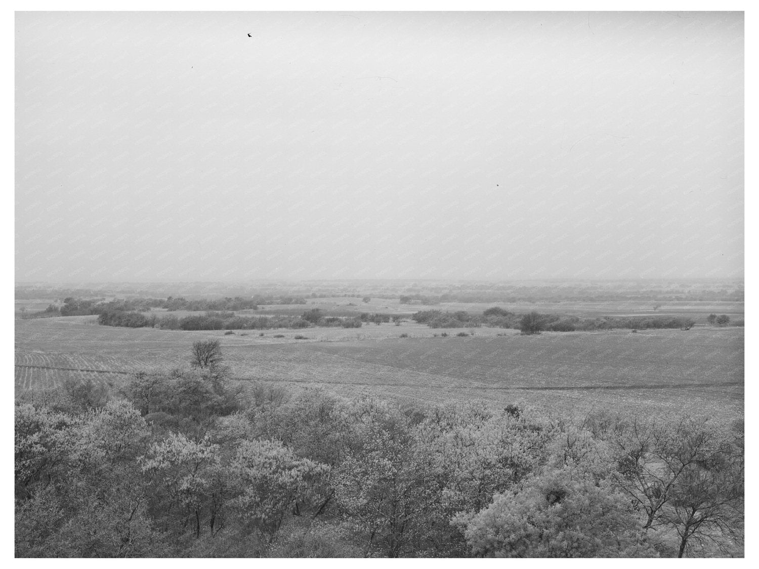 Mills County Texas Rural Landscape March 1940 Photograph