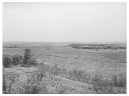 Mills County Texas Farming Landscape March 1940