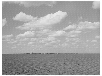 San Patricio County Texas Agriculture March 1940 Image