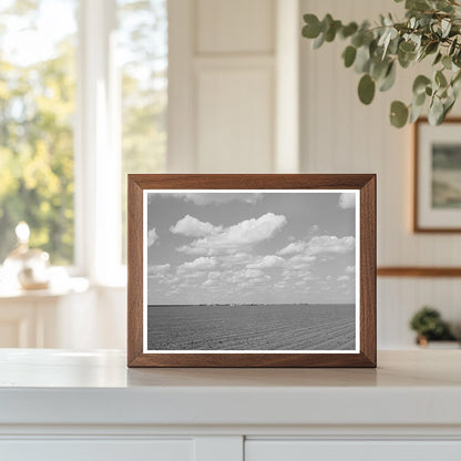 San Patricio County Texas Agriculture March 1940 Image