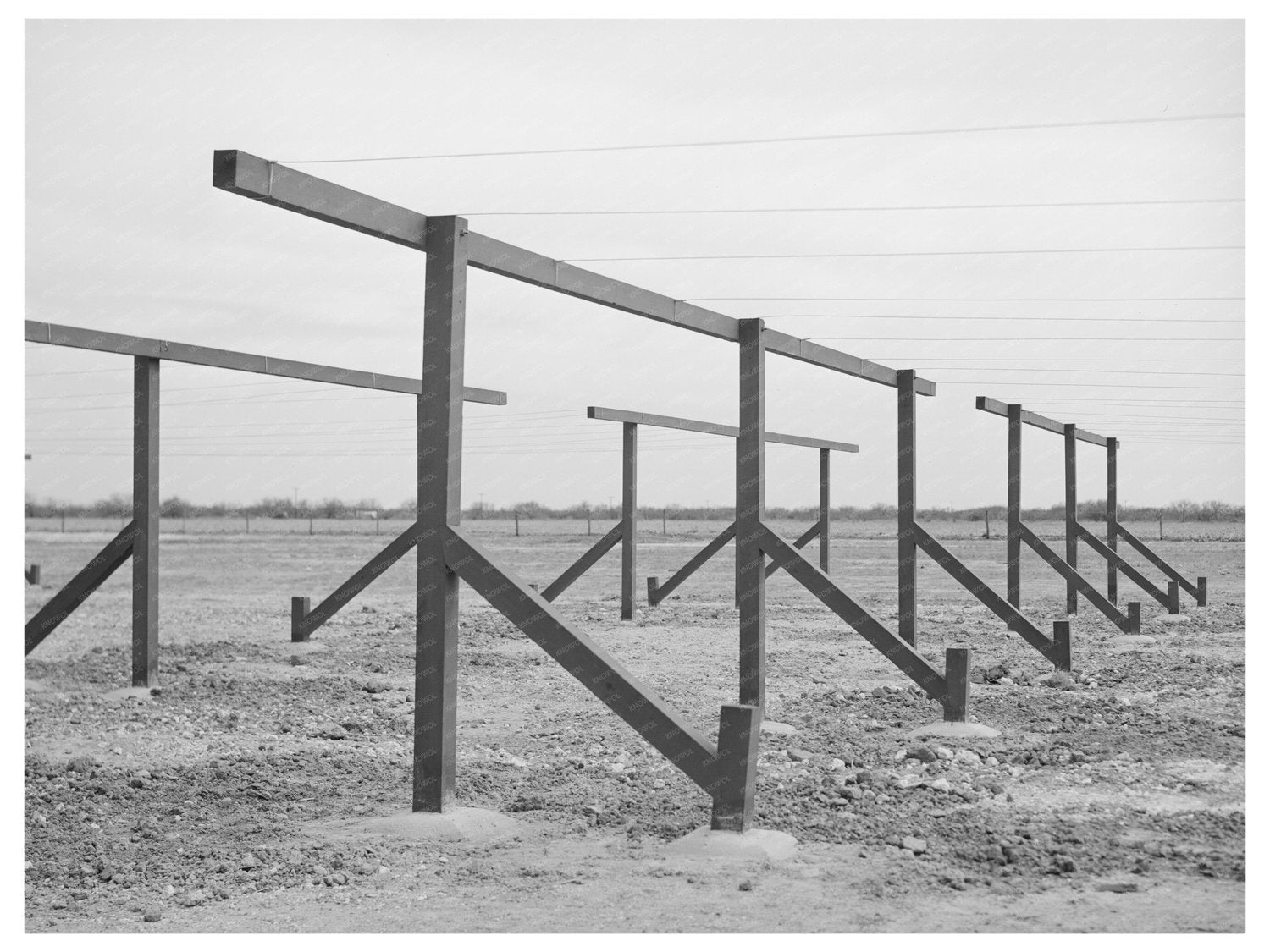 Clotheslines in Migratory Labor Camp Sinton Texas 1940