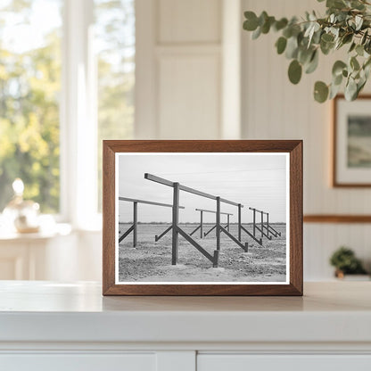 Clotheslines in Migratory Labor Camp Sinton Texas 1940