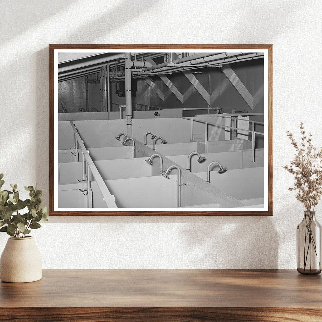 Showers in Migrant Labor Camp Sinton Texas March 1944