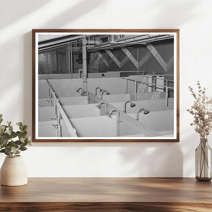 Showers in Migrant Labor Camp Sinton Texas March 1944