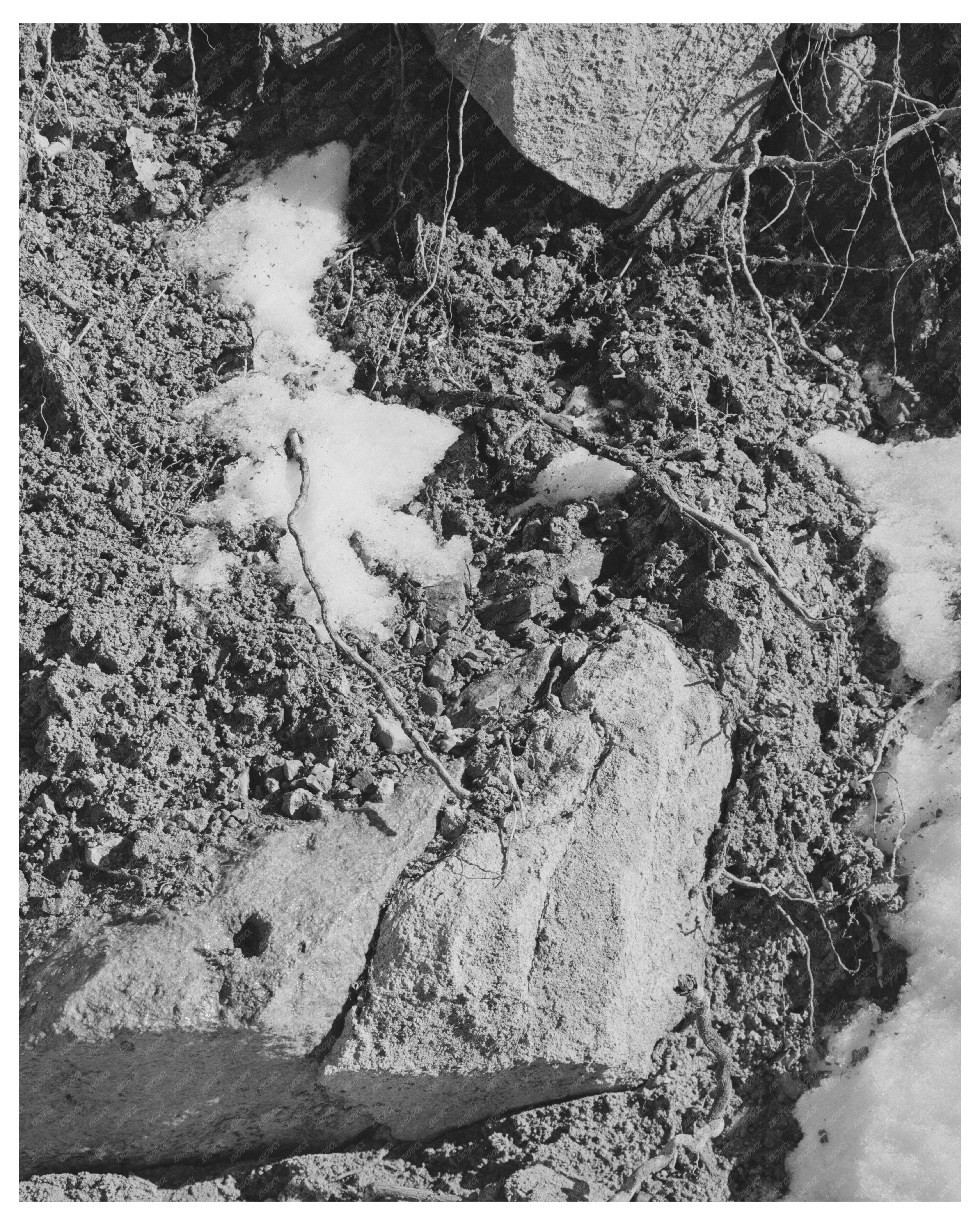 Snowmelt in Bernalillo County New Mexico April 1940