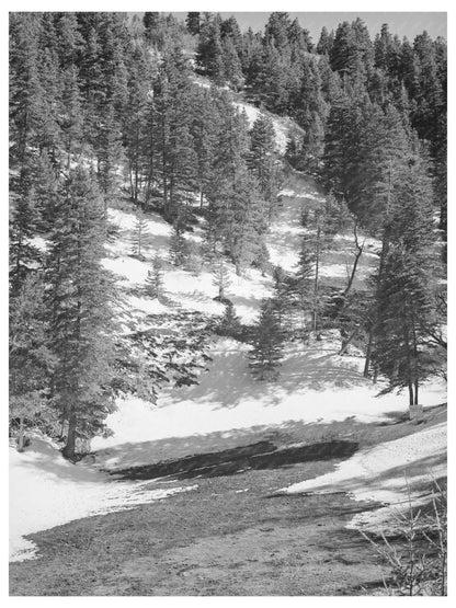 Snow Melting on Mountainside Bernalillo County 1940