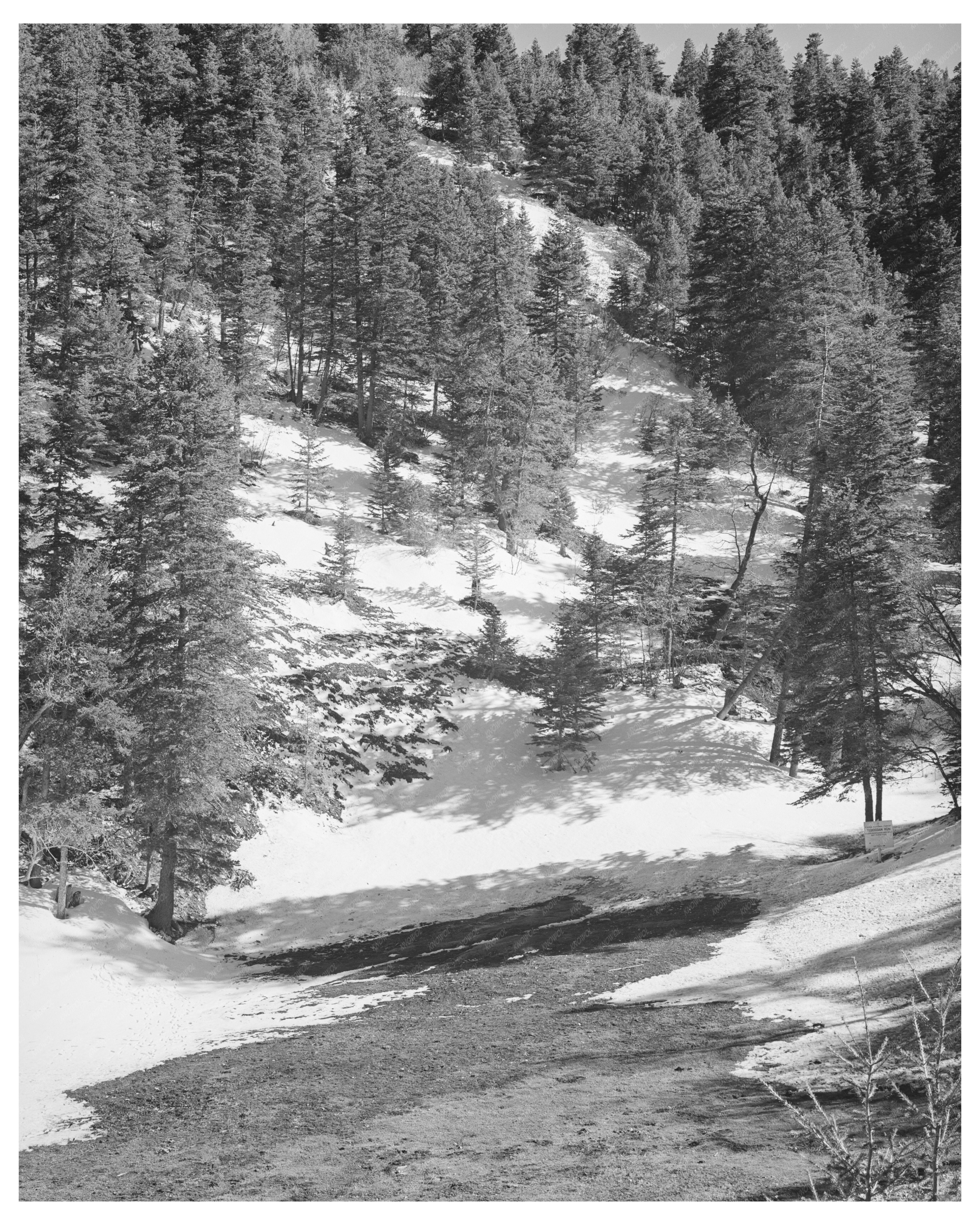 Snow Melting in Bernalillo County New Mexico April 1940