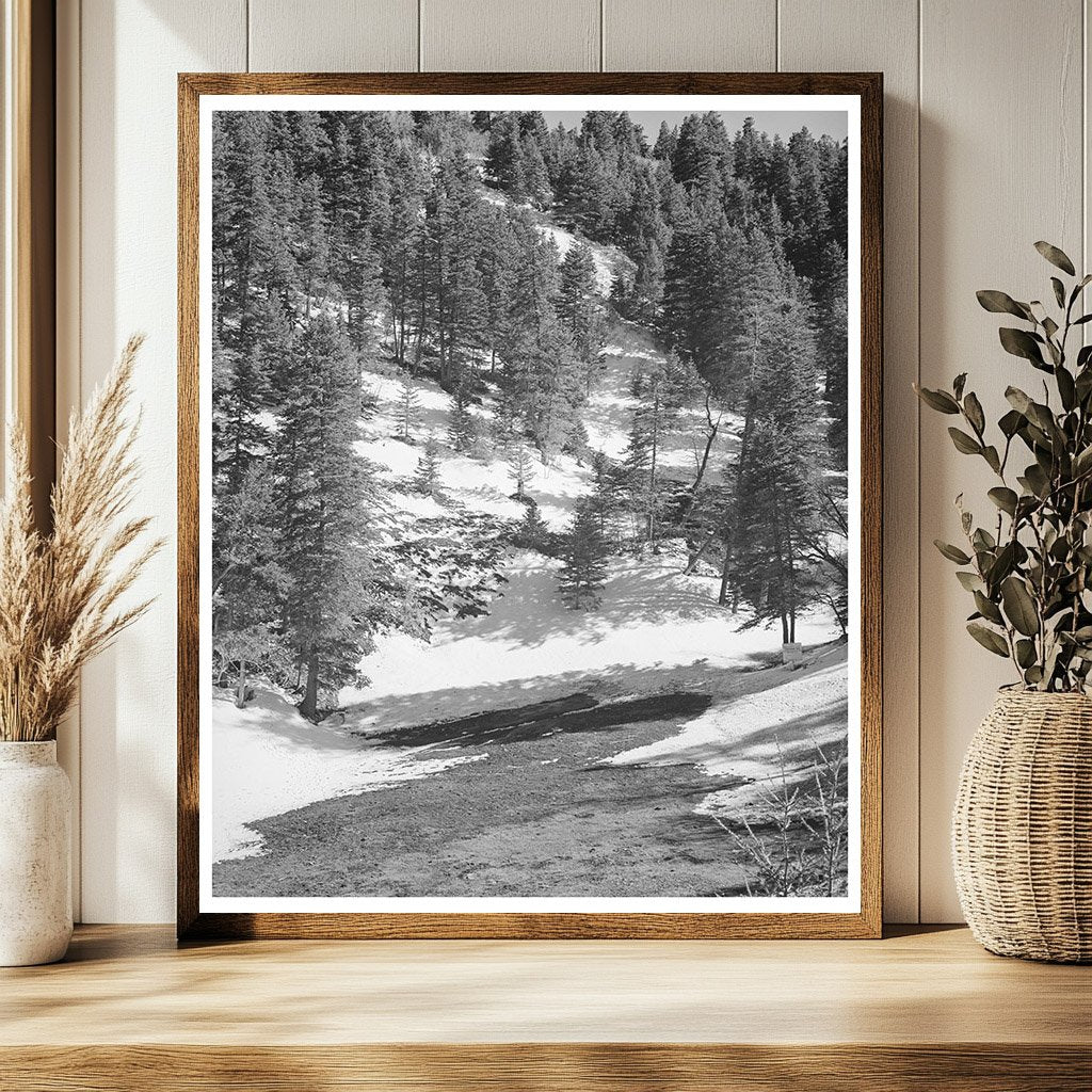Snow Melting in Bernalillo County New Mexico April 1940