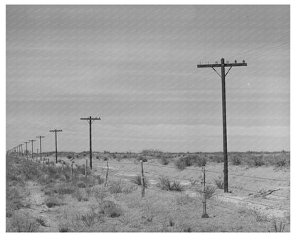 Telephone Poles on Highway in Gaines County Texas 1940