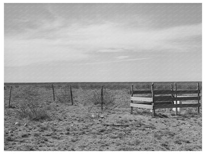 Grave on Texas Plains March 1940 Vintage Image