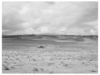 1940 Vintage House in Catron County New Mexico Landscape