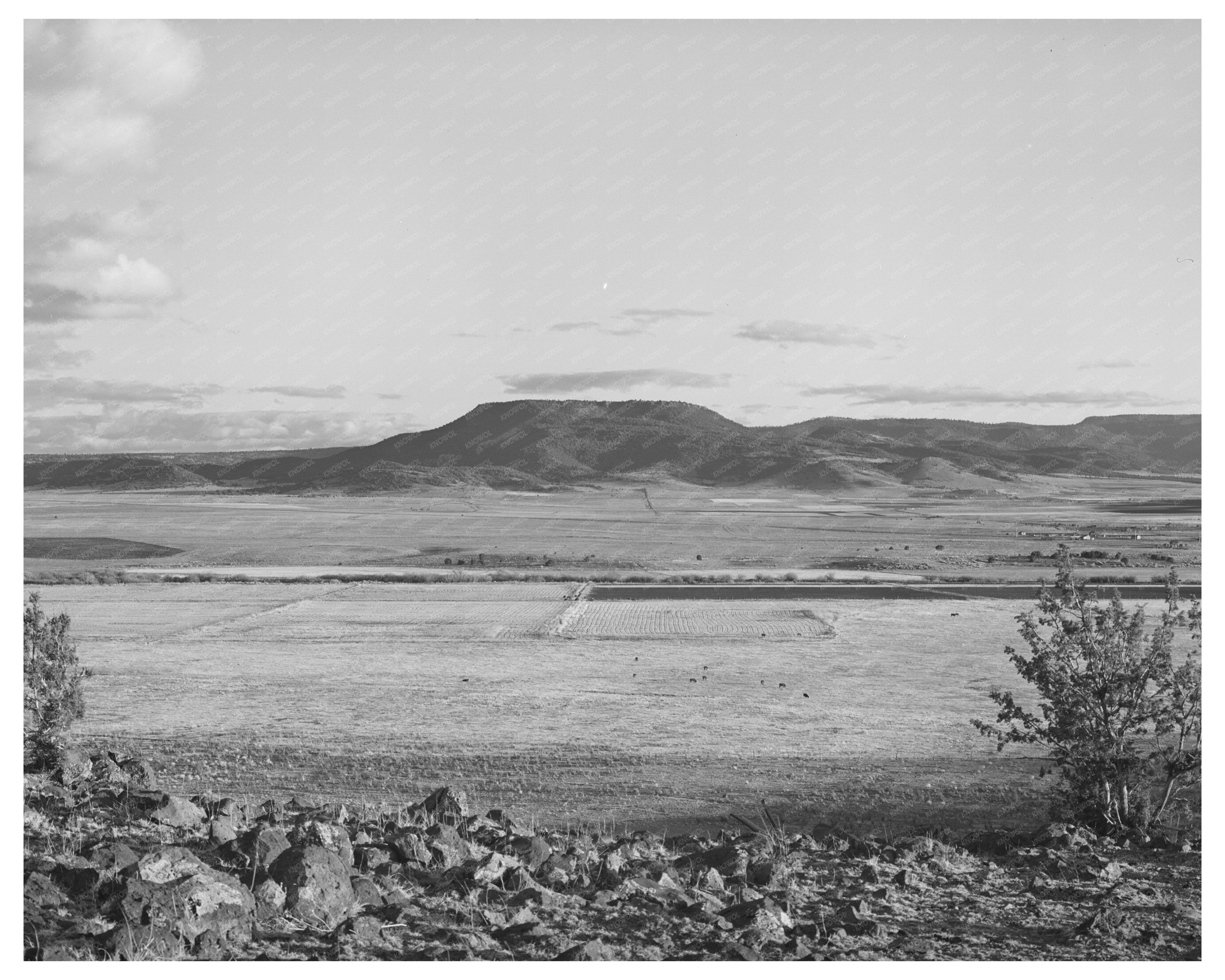 Valley of the Little Colorado River April 1940 Image